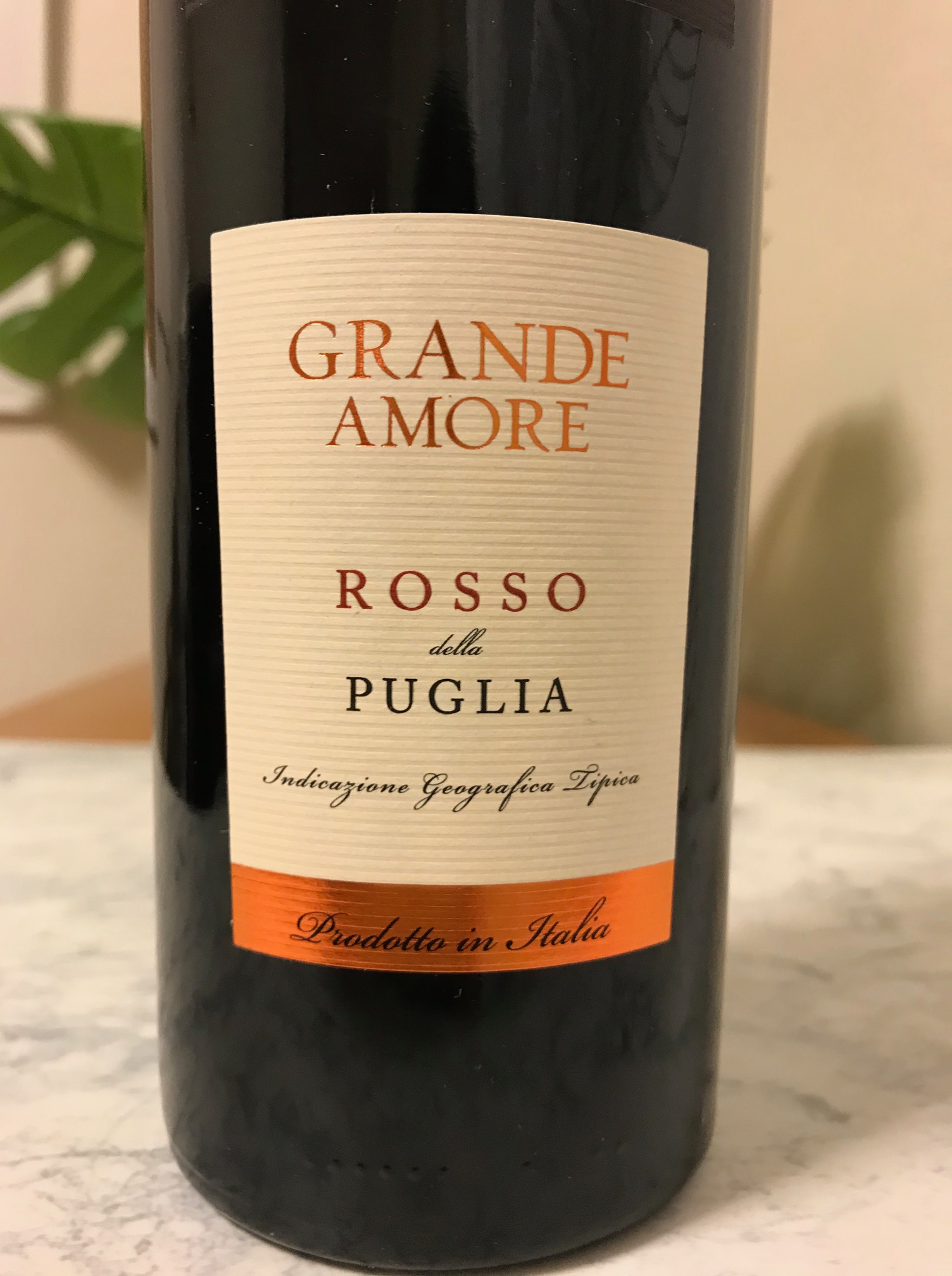 グランデ アモーレ 反則級のおいしさ これが美味しい ワン コイン ワイン